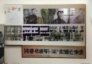 哈兰德：从足球新星到世界顶级前锋的传奇之路